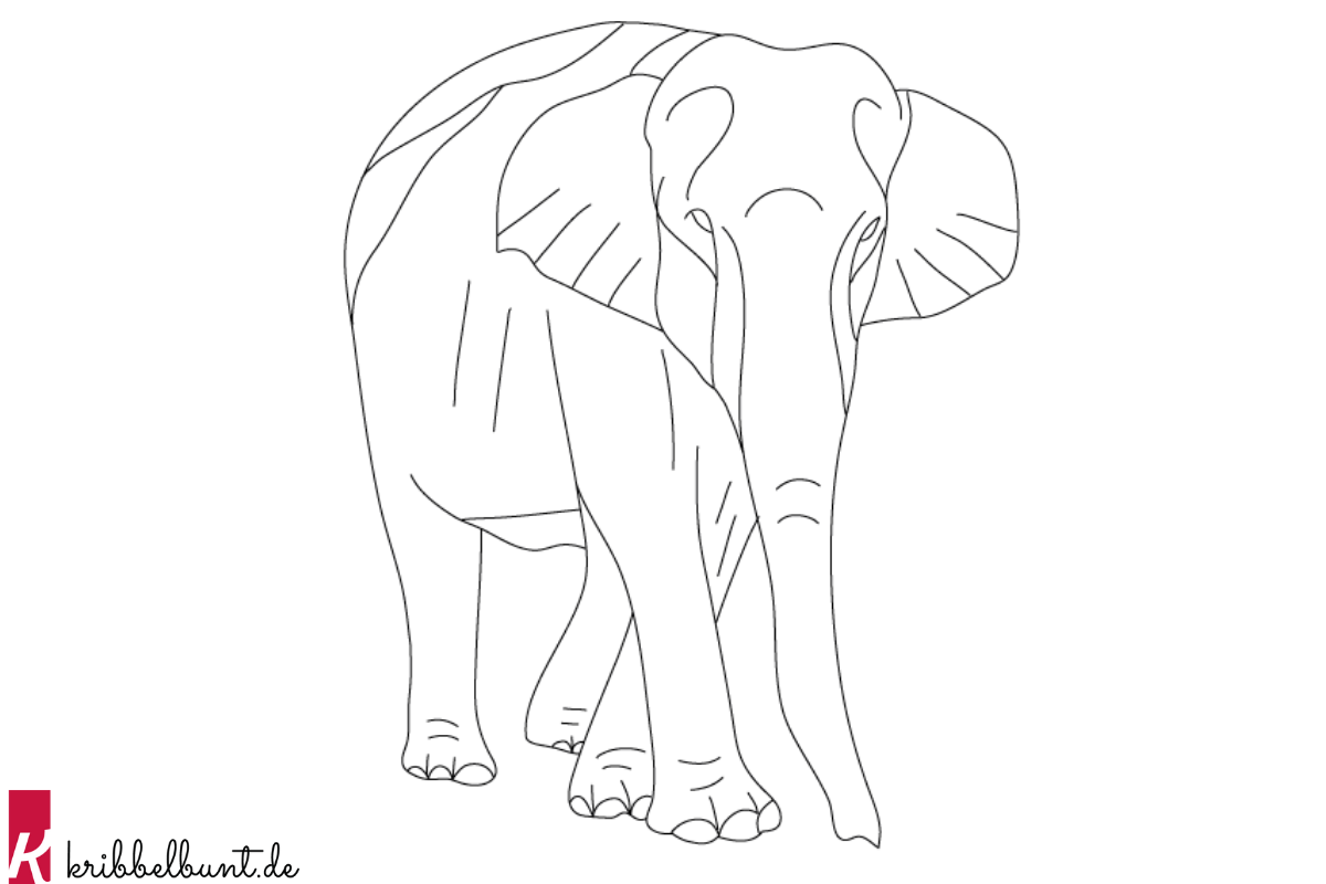 Elefant Ausmalbild Kostenlos Zum Ausdrucken Kribbelbunt
