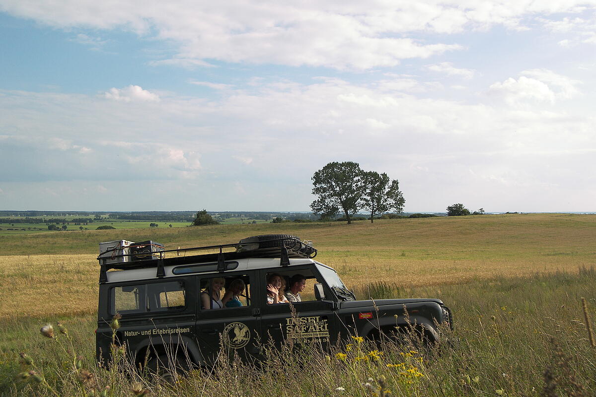 Insel-Safari Usedom