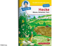 Benny Blu- Hecke