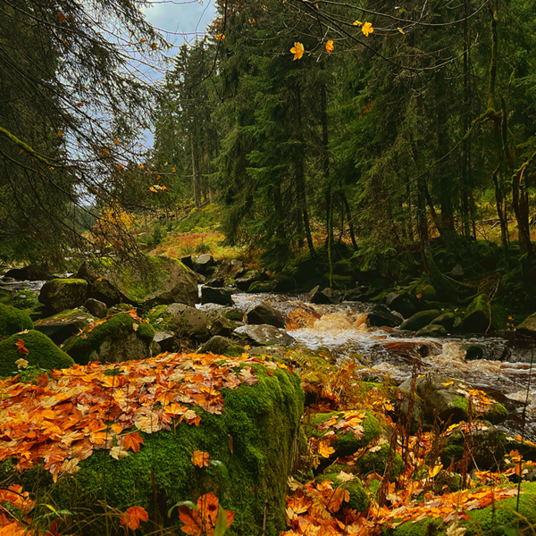 Ausflug ins Erzgebirge