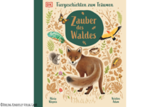 Buch "Zauber des Waldes"