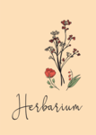 Herbarium Deckblatt » PDF zum Ausdrucken | Kribbelbunt