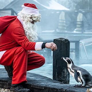 Weihnachtsmann mit Pinguin in den Spreewellten