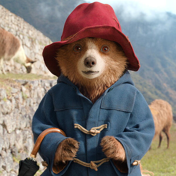 Paddington in Peru