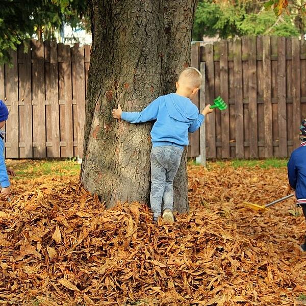 Kinder spielen im Laub