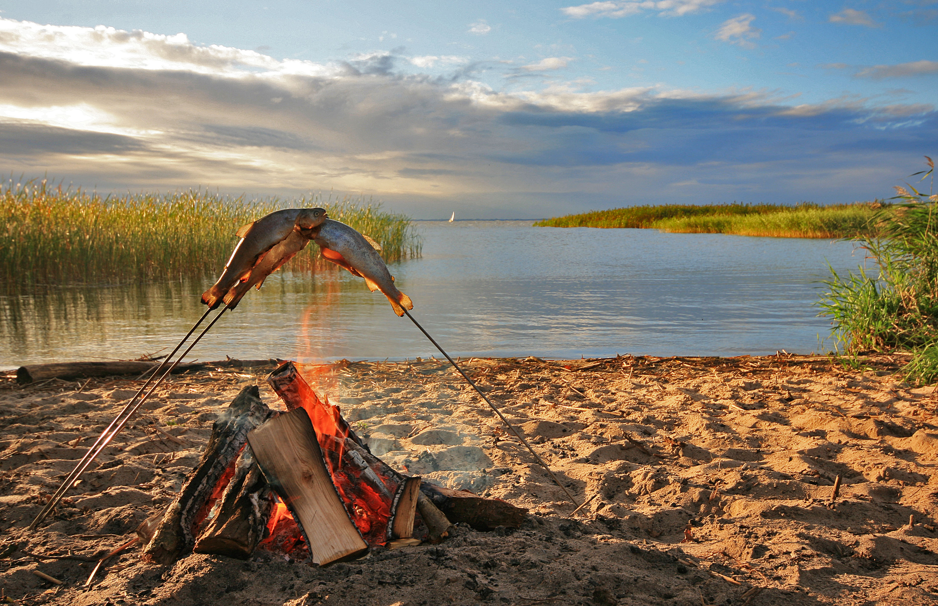 Insel-Safari Usedom