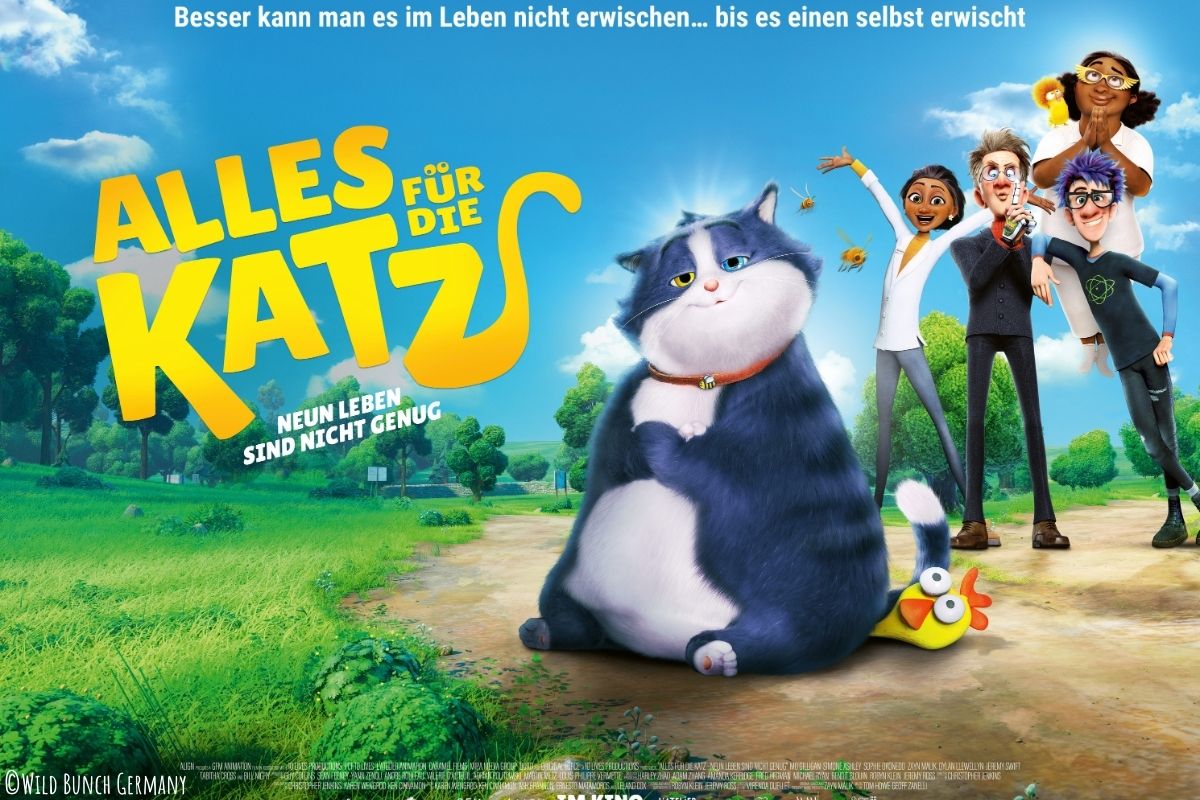 Filmplakat: Alles für die Katz