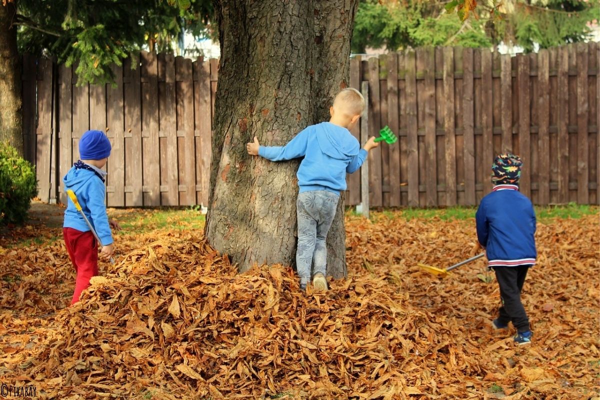 Kinder spielen im Laub