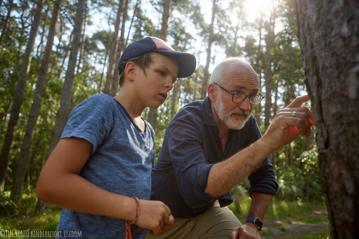 Mann zeigt einem Jungen etwas an einem Baum im Wald