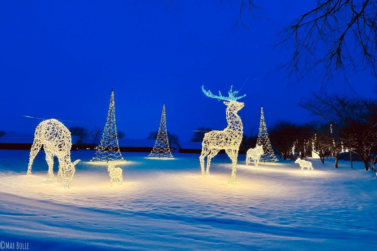 Tiere aus Lichterketten stehen in einer Schneelandschaft