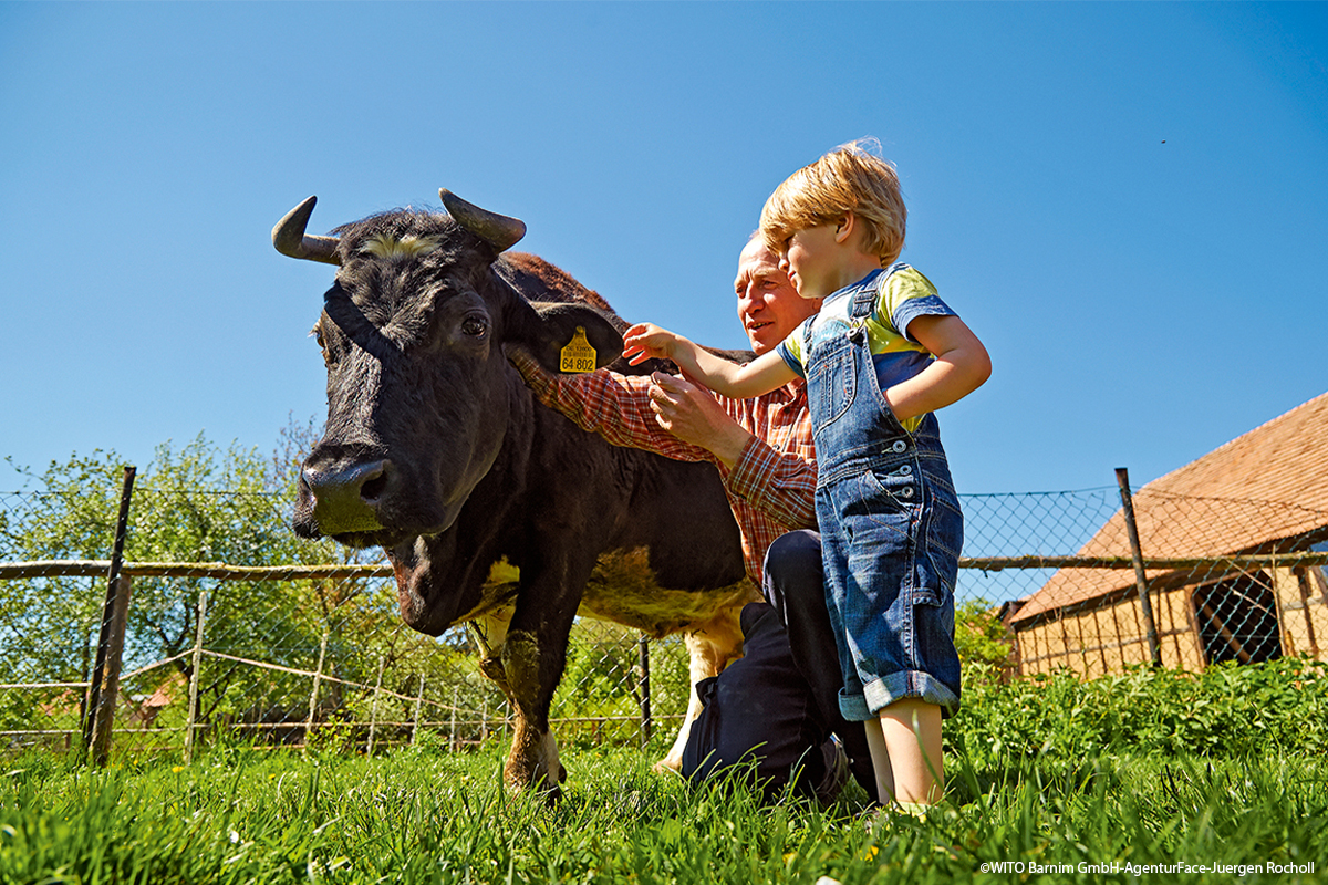 Die besten Tipps für Urlaub auf dem Bauernhof – Erlebnisse für die ganze Familie im Land 