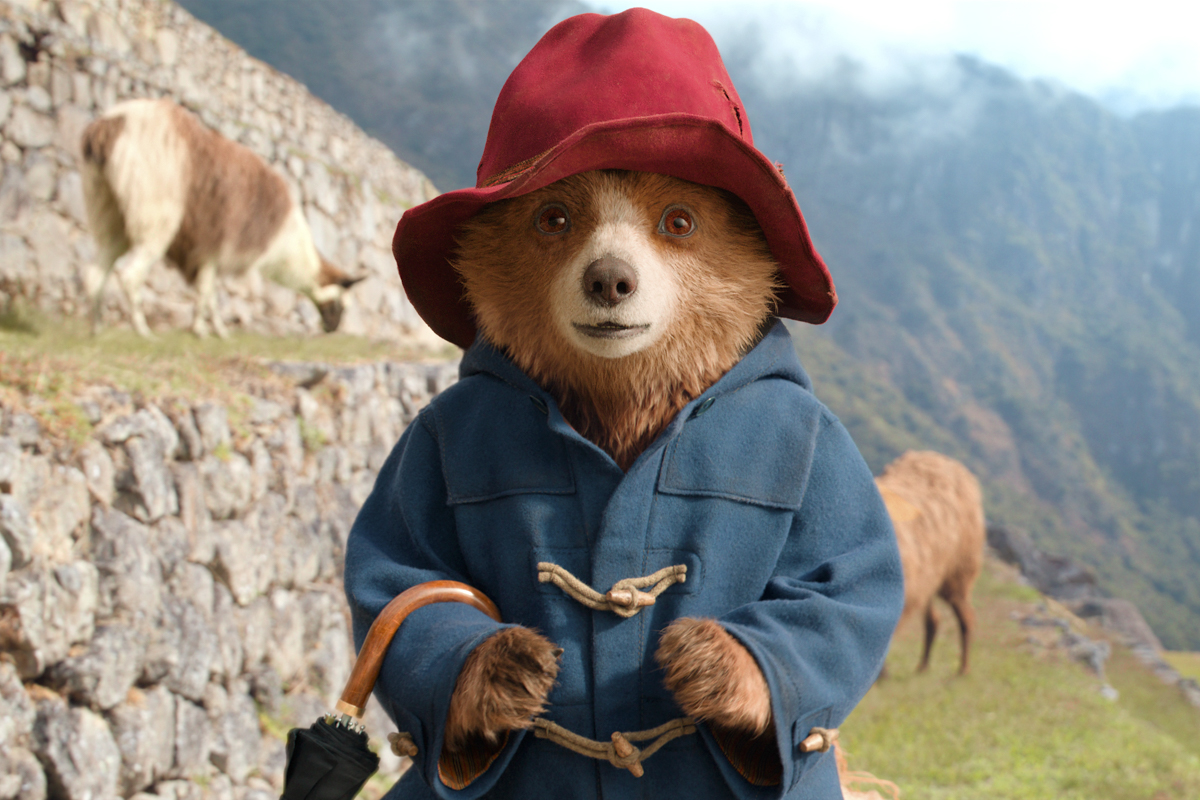 Paddington in Peru